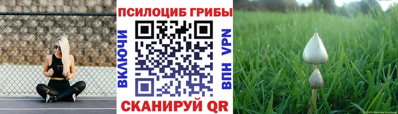 Купить где  Нефтегорск  Псилоцибиновые грибы MAGIC MUSHROOMS 